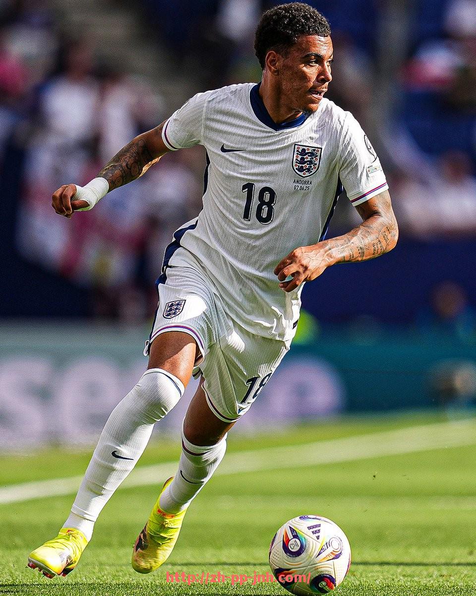 金年会-法甲球队品牌影响评估及市场推广策略的优化建议