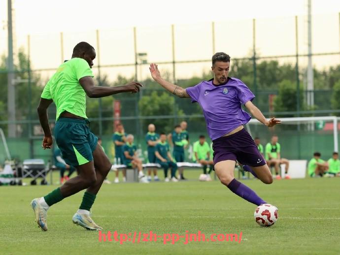 金年会-法甲球员伤病统计及对球队表现的影响分析